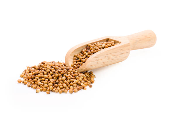 istock coriander seeds isolated on white background 1209051045