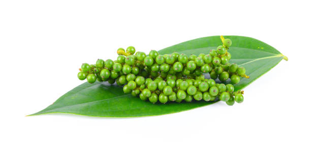 istock Fresh green peppercorns isolated on white background 1209051953