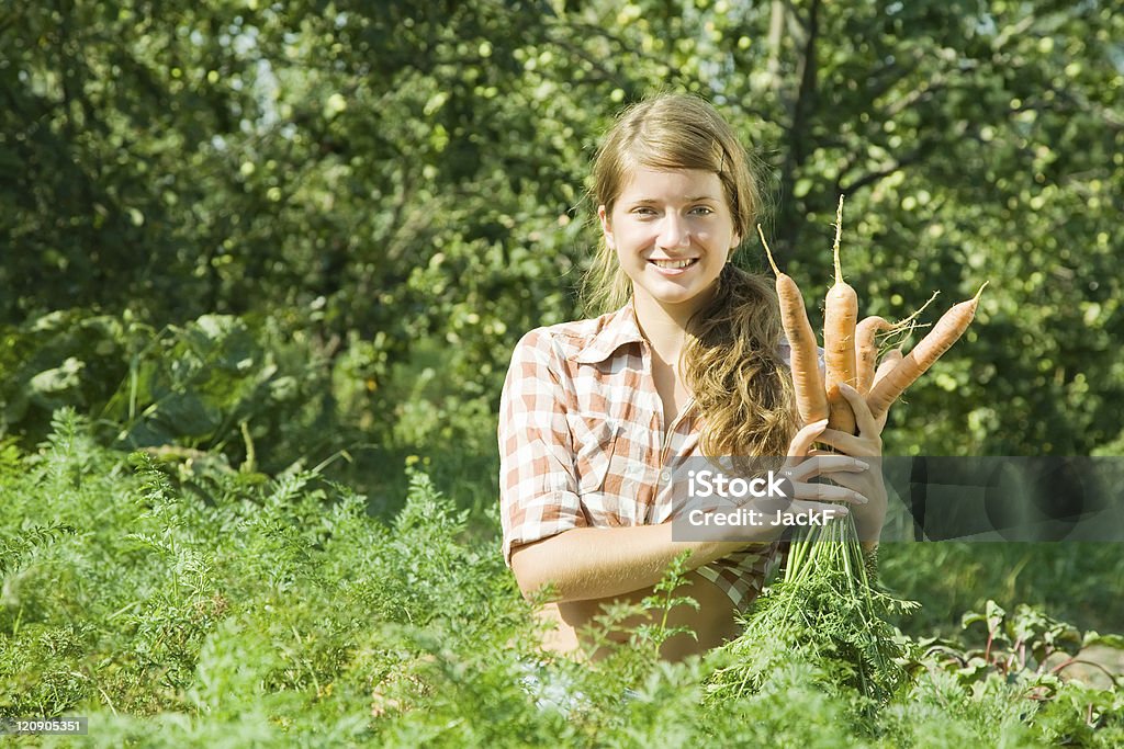 girl is picking  carrots young girl is picking  carrots in field Carrot Stock Photo