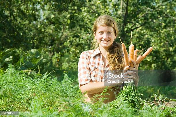 Girl Is Picking Carrots Stock Photo - Download Image Now - Carrot, Picking - Harvesting, Women