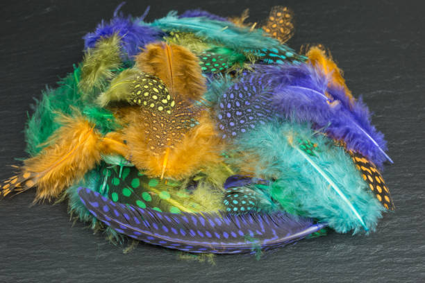 istock heap of multicolored feathers 1209054944