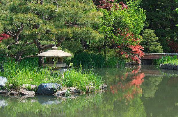 Japanese garden