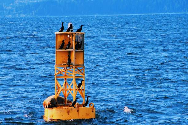 These were all taken from a boat in the harbor of Puget Sound, off the coast of the city of Seattle, Washington, USA.