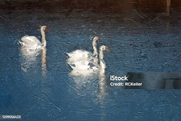 Impressionistic Style Artwork Of Three White Swans Swimming In The Blue Water Stock Photo - Download Image Now