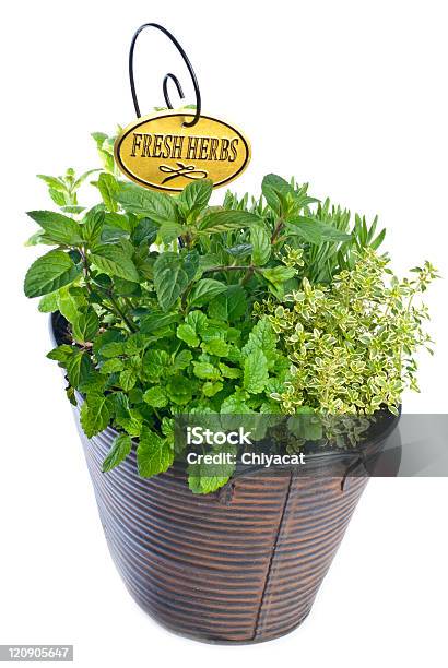 Mixed Fresh Herbs In A Metal Planter Stock Photo - Download Image Now - Basket, Brown, Color Image
