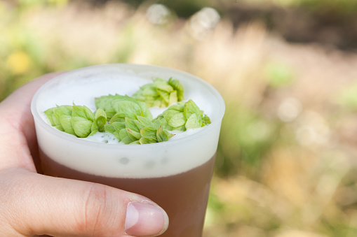 craft beer with fresh hops