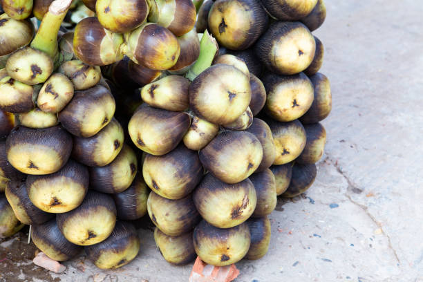 istock Toddy Palm  Fruit For Selliing In The Market. 1209057302