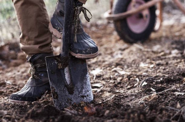 istock Man planting a garden 1209058291