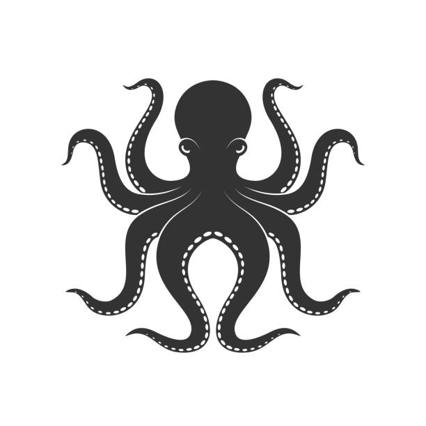 Octopus Octopus graphic icon. Octopus sign isolated on white background. Sea life symbol. Vector illustration background studio water stock illustrations