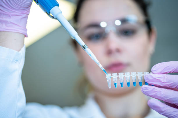 A scientist doing cell culture experiment in cleanroom facility. stock photo Thailand, Laboratory, Cancer - Illness, Petri Dish, Agriculture Scientist performing stem cell research for cancer therapy crispr photos stock pictures, royalty-free photos & images