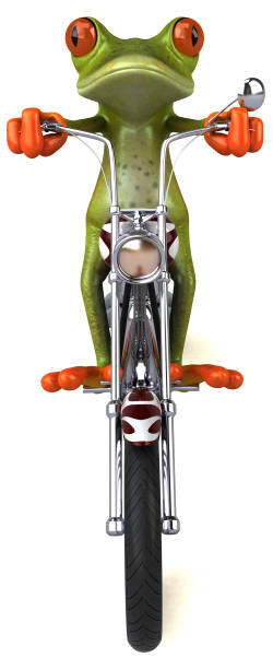 istock Fun frog on a motorcycle - 3D Illustration 1209060345