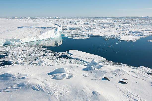 Antarctic landscape stock photo