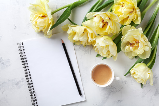 Morning coffee, clean notebook and beautiful bunch of fresh tulip flowers on white stone table top view. Flat lay. Cozy breakfast on Mother or Woman day.