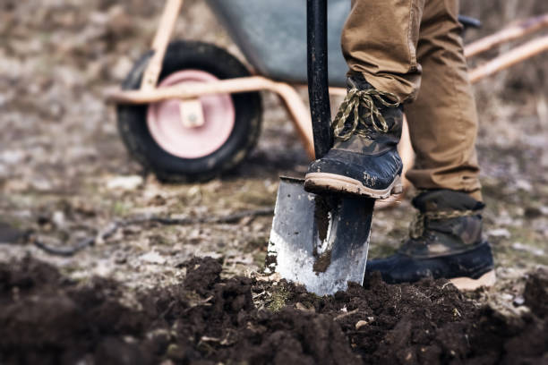 istock Man works in the garden on a spring day 1209067141