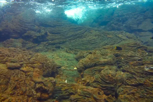 Photo of Lava flows underwater, Santiago Island, Galapagos Islands, Ecuador