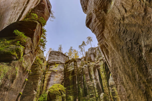 istock Rocks in Adrspach-Teplice Nature park in Czech 1209071547