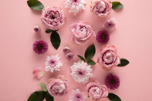 istock top view of blooming spring flowers on pink background 1209072198