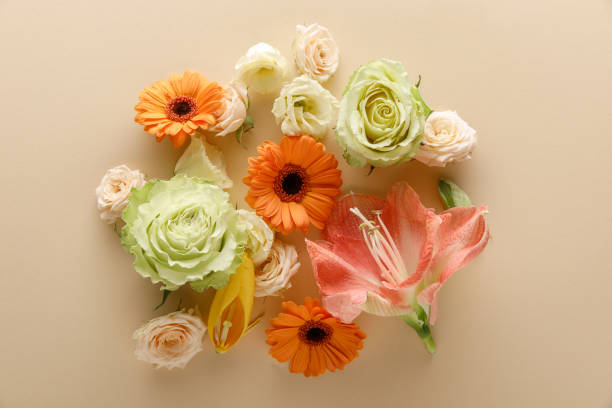 istock top view of spring flowers on beige background 1209072230