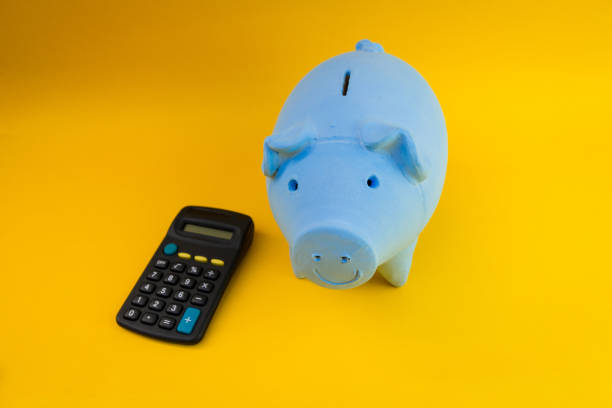 istock Piggy coins with calculator and dollars isolated 1209073787