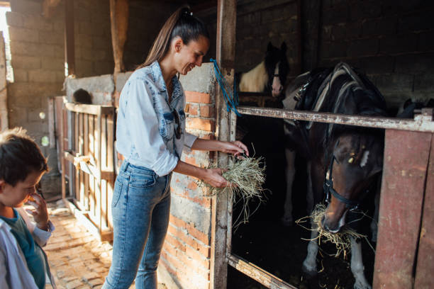 istock Mother and child feeding horses at the stables 1209077212