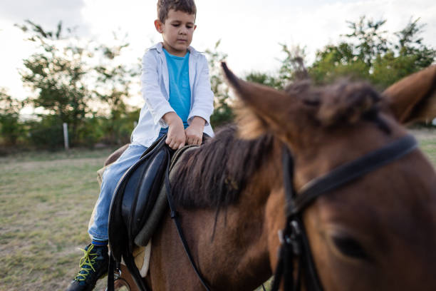 istock Young child enjoying a horseback ride 1209078140