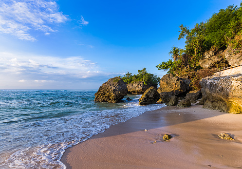 Coconut Palm Beach  in Isla Catalina, Dominican Republic.