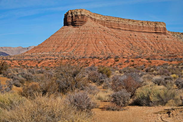istock On the road to Zion 1209078614