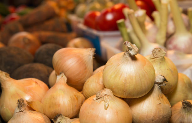 Onion Onion laid against the backdrop of vegetables Relish stock pictures, royalty-free photos & images