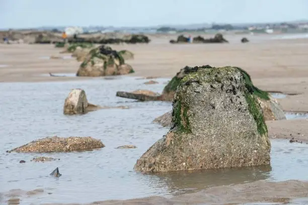 Photo of Rocks in the sand by the sea