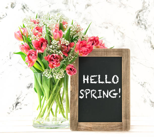 istock Pink tulip flowers vintage chalkboard Hello spring 1209087623