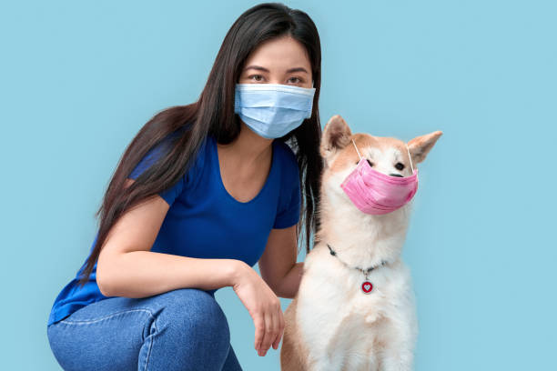 若い大人のアジアの女性と彼女の犬は保護フェイスマスクで身に着けている - vet veterinary medicine young women female ストックフォトと画像