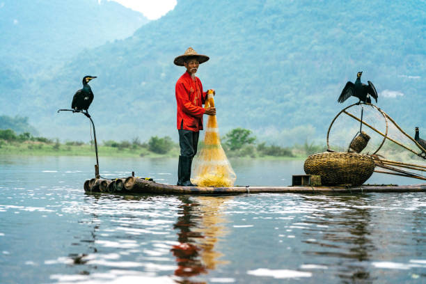 istock cormorant fishermen in China 1209088706