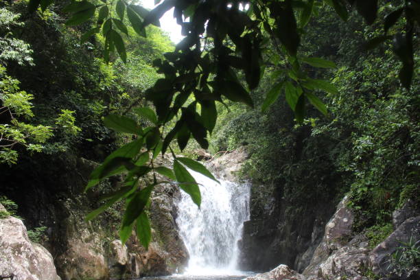 istock waterfalls in the hidden paradise 1209090068