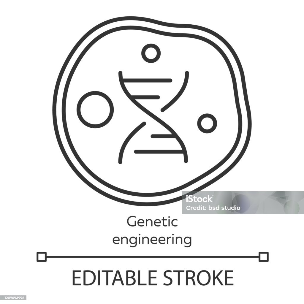 Ilustración de Icono Lineal De Ingeniería Genética Manipulación De Genes Mediante Biotecnología Célula Del Cuerpo Vivo Modificación Del Genoma Ilustración De Línea Fina Símbolo De Curva De Nivel Dibujo De Contorno Aislado Ilustración de Icono Lineal De Ingeniería Genética Manipulación De Genes Mediante Biotecnología Célula Del Cuerpo Vivo Modificación Del Genoma Ilustración De Línea Fina Símbolo De Curva De Nivel Dibujo De Contorno Aislado