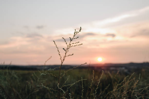 istock Beautiful sunset. The view from the hill. 1209097246