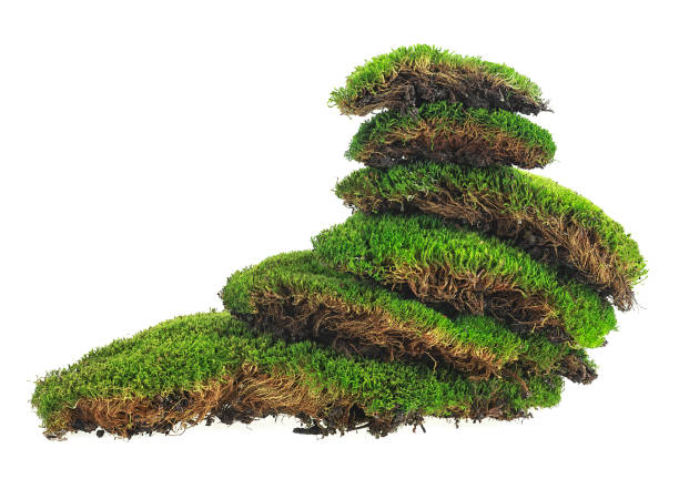 istock Green mossy hill isolated on a white background. Moss pyramid. 1209098055