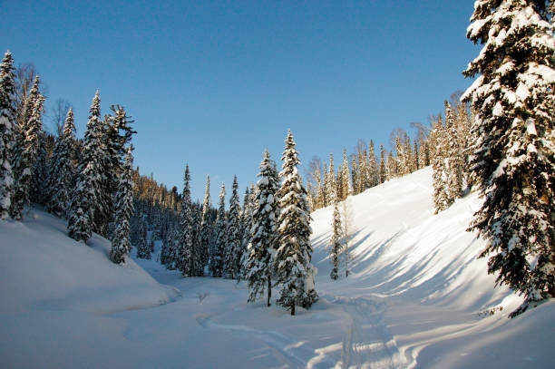 istock Mountain forest valley in winter. Sunny winter day. 1209098182