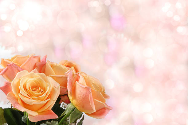 istock Composition of roses on a pink isolated background, place for text, flat lay. Creative modern bouquet holiday concept. Greeting card for Women's Day or Valentine's Day, happy birthday, wedding, gift for loved ones 1209098779