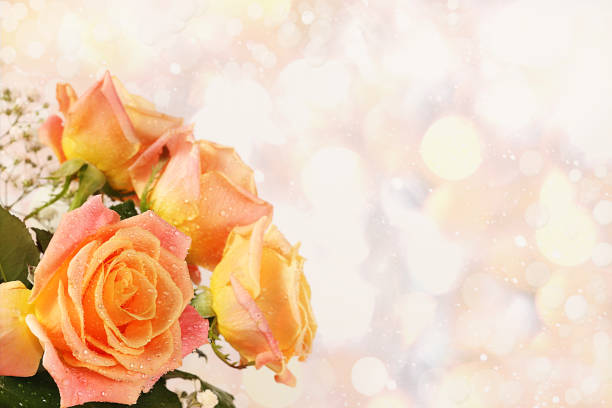 istock Composition of roses on a pink isolated background, place for text, flat lay. Creative modern bouquet holiday concept. Greeting card for Women's Day or Valentine's Day, happy birthday, wedding, gift for loved ones 1209098967
