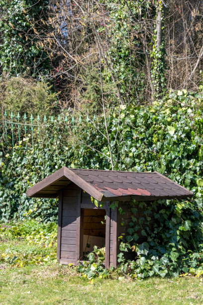 istock Kennel in the garden 1209101444