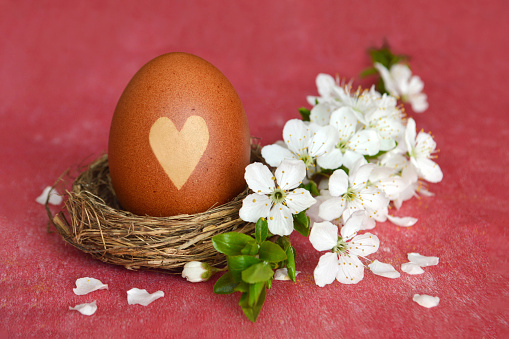 Easter egg in nest and cherry blossom