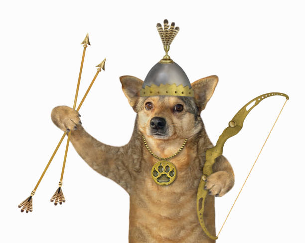istock Dog warrior with bow and arrows 1209104184