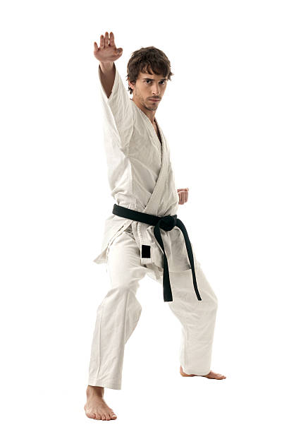 Karate male fighter young isolated on white background stock photo