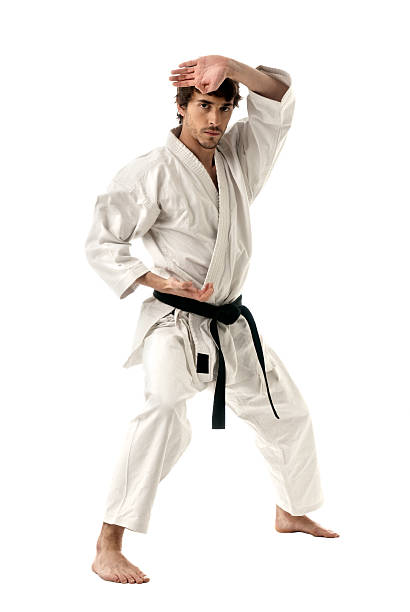 Karate male fighter young isolated on white background stock photo