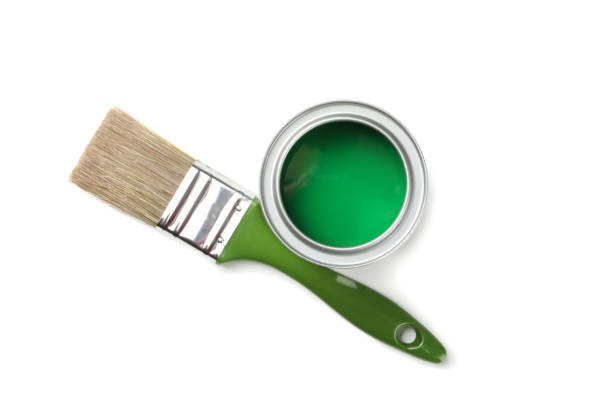 istock Green brush and paint isolated on white background 1209105485