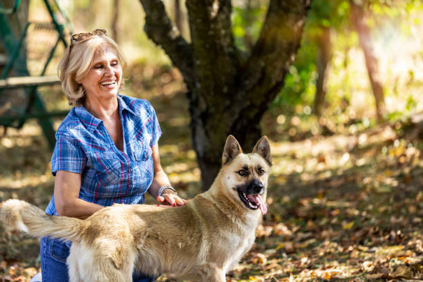 Senior woman having fun playing with pet dog in park. Sharing love with the dog