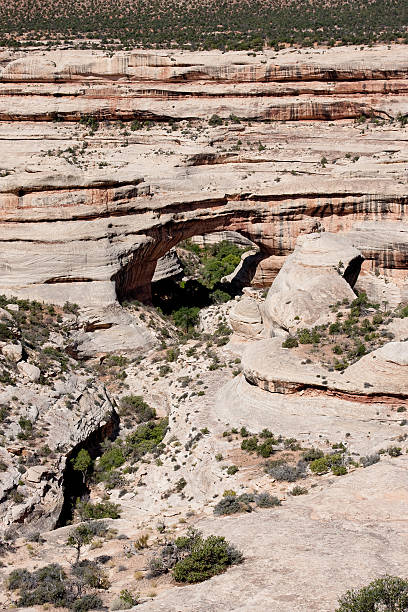 istock Sipapu Bridge - Natural Bridges National Monument, Utah 120911440