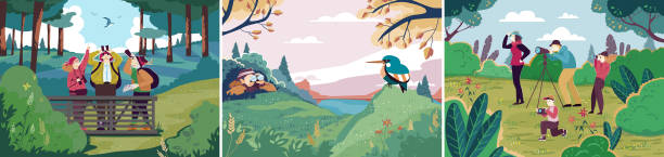 Birdwatching in nature, people outdoor hobby, ornithology bird o Birdwatching in nature, people outdoor hobby, ornithology bird observation, vector illustration. People watching birds in nature, outdoor activity for friends and family. Recreation leisure hiking ornithology stock illustrations