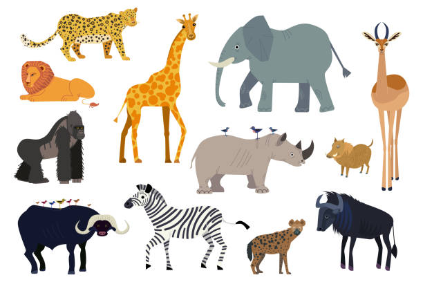 21,616 Savannah Animals Illustrations & Clip Art - iStock | African savannah  animals
