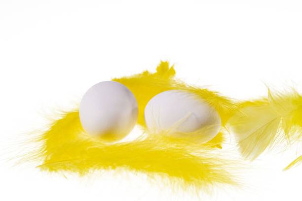 istock Close up view of white eggs and yellow feathers isolated on white background. Easter concept. 1209118641